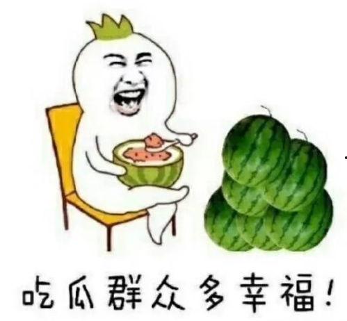 吃瓜娱乐圈素材哪里找,揭秘热门素材搜集秘籍
